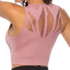 Quick Dry Workout Sports Bra Yoga Vest - Wellness, Health & Fitness